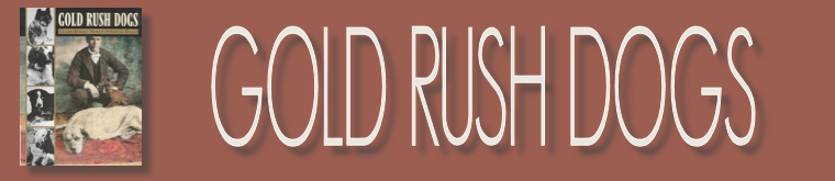 Gold Rush Dogs header image